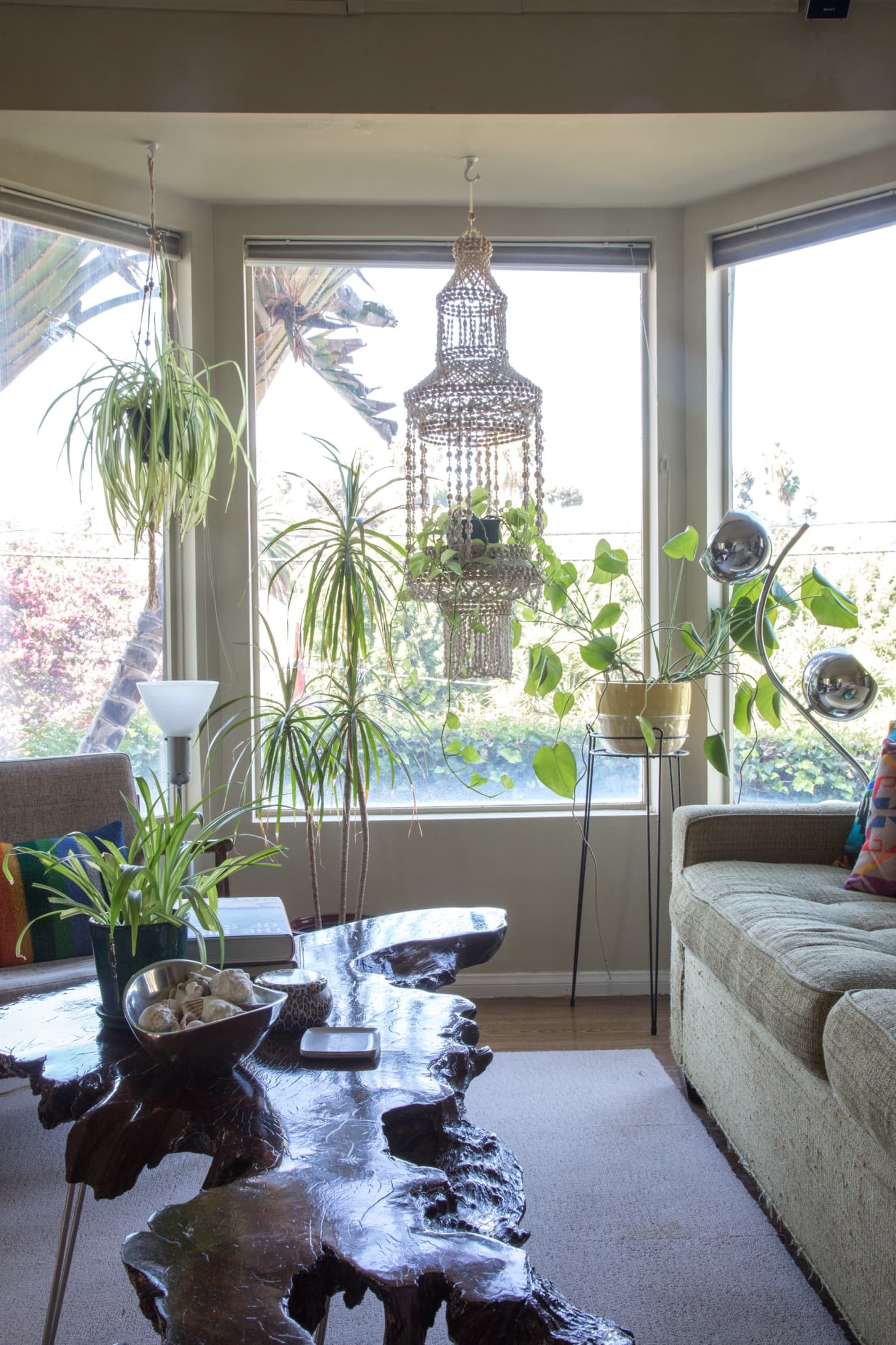 Hanging Plants Best Indoor Types, Ideas Apartment Therapy
